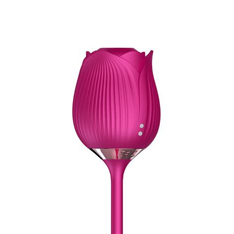 vibrador de flor|Vibrador Silicone vibradoris feminino, Vibrador Flor Rosa Ponta。